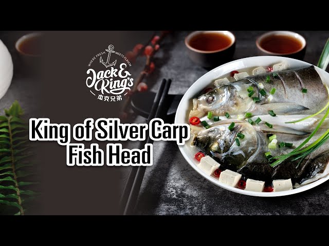 Jack & King's King of Sliver Carp Fish Head