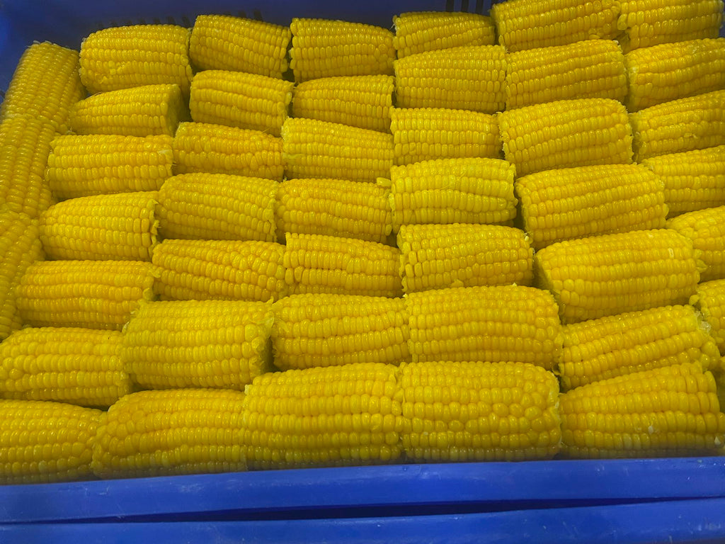 Frozen Sweet Corn On Cob IQF JNK (3 Inches*96Pcs/Ctn) - Jack & King's