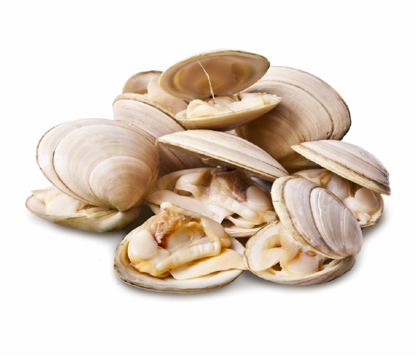 White Clam Cooked 17/22 Captain Jack100% 10*1LBS - Jack & King's