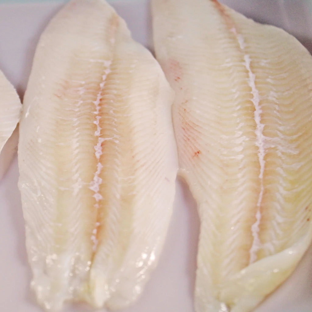 Grey Sole 200/400 IQF Ocean Choice (100% NW, 1*20LBS) - Jack & King's