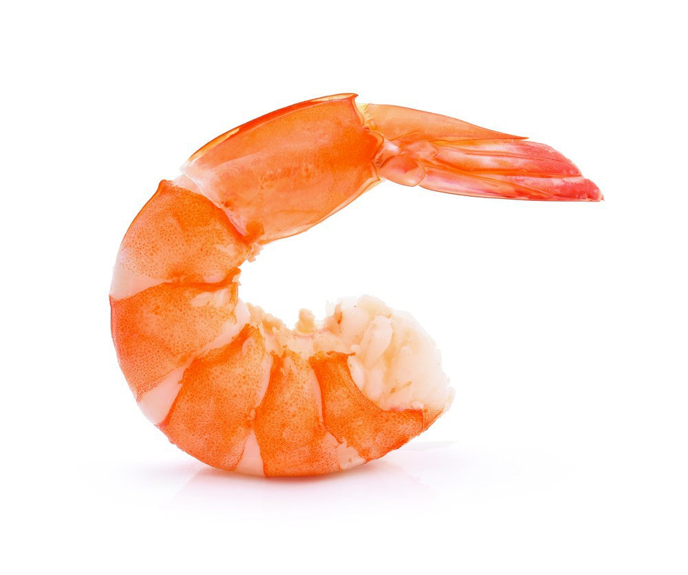 Shrimp EZPO Tail on 21/25 100% NW Tropical - Jack & King's